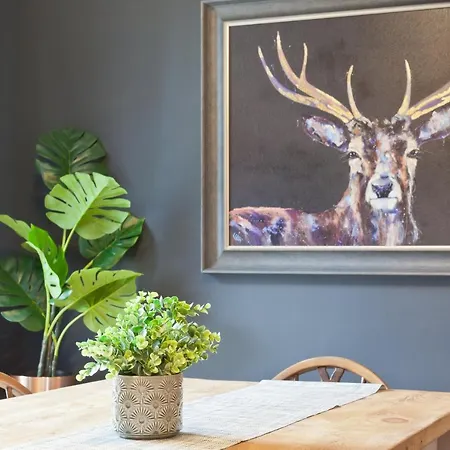 Bumble Choo - Windermere, District * Windermere