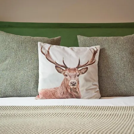 Bumble Choo - Windermere, District Windermere